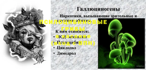 скорость Алзамай