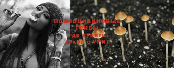 гидропоника Алексин
