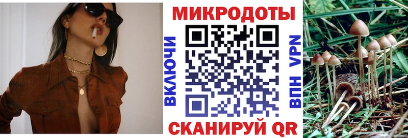 Псилоцибиновые грибы Cubensis  продажа наркотиков  omg как войти  Каневская 